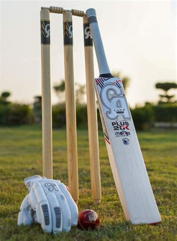 A-list Celebs Who Enjoy Playing Cricket
