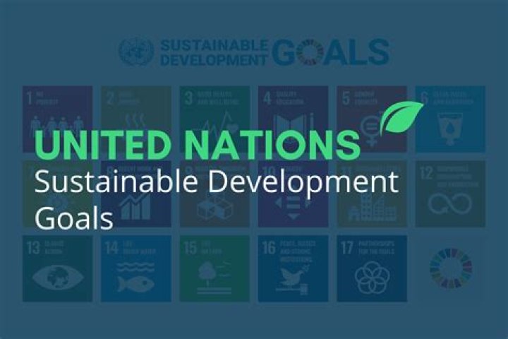 BTS and ARMY rank in Top Sustainable groups by the UN