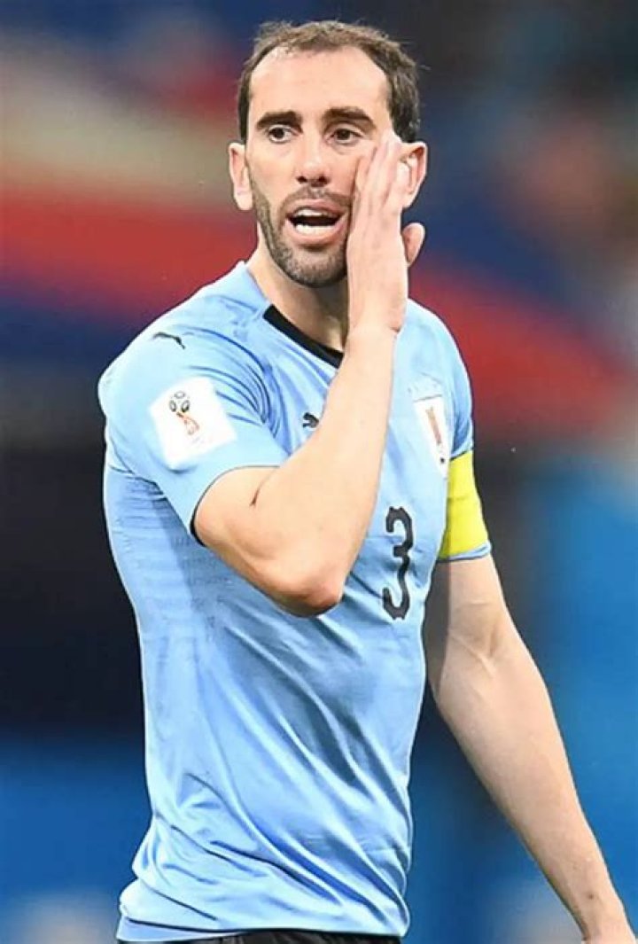 Diego Godín Net Worth 2024, Age, Height, Bio, Birthday, Wiki!