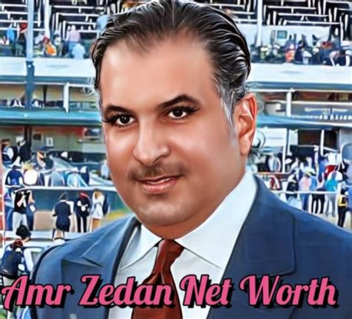 Fame | Amr Zedan net worth and salary income estimation Jan, 2024