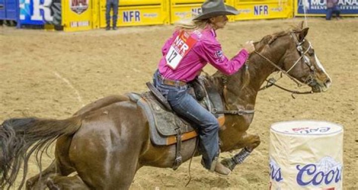 Fame | Sherry Cervi net worth and salary income estimation Jan, 2024