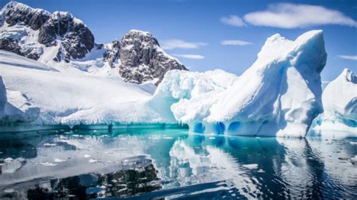 Famous People Born In Antarctica