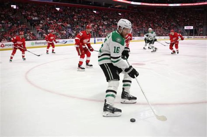 How much is Sarah Pavelski’s net worth: What is Her Net Worth