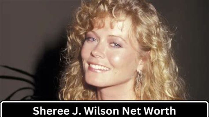 How Rich Is Sheree J. Wilson Today: Biography, Net Worth & more