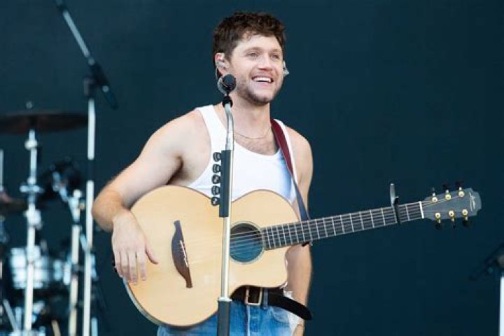 Is Niall Horan Collaborating With Jimmy Fallon?