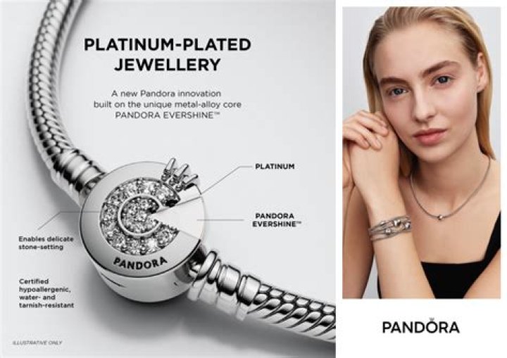 Pandora introduces 