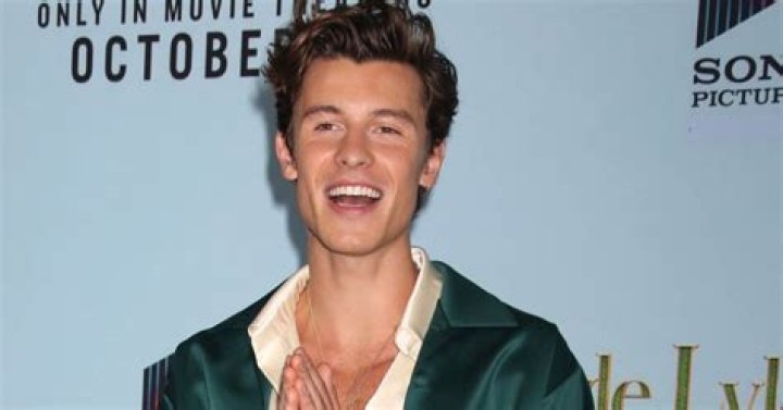 Shawn Mendes Net Worth, Age, Height, Bio, Birthday, Wiki!