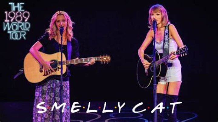 Taylor Swift performs 'Smelly Cat'