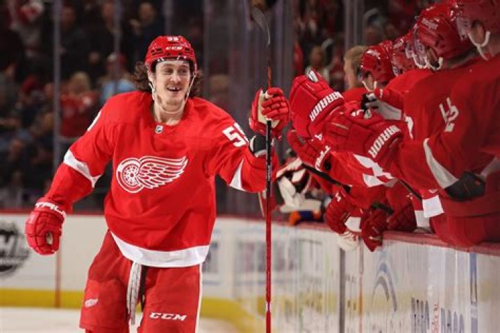 Tyler Bertuzzi Parents; Angela and Adrian Gedye Bertuzzi