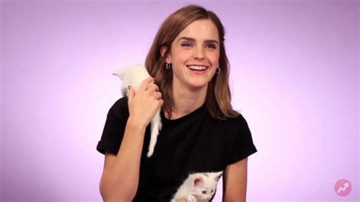 WATCH: Emma Watson Plays With Kittens In Latest Interview
